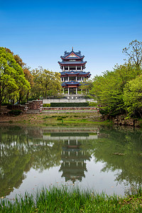 Wuxi Taihu Yuantouzhu Park cherry garden water pavilion