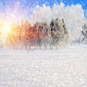 雪摄影照片_冬季风景，雪树和雪花覆盖