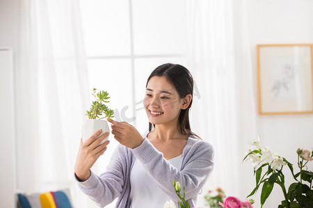 插画亭台摄影照片_青年女人的家庭生活