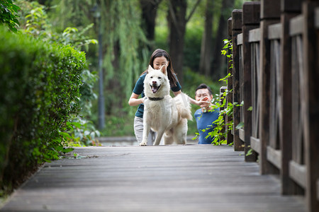 庭院小路摄影照片_青年情侣在户外散步