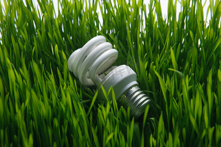 环保摄影照片_草地上的节能灯