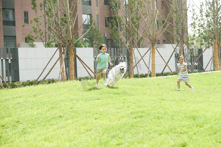 快乐的孩子们在草地上玩耍
