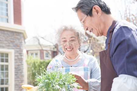 老年夫妇在院子里种花