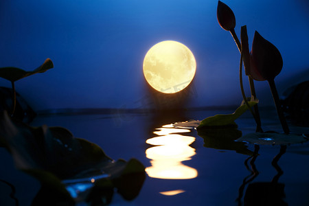 月亮池塘摄影照片_中秋圆月