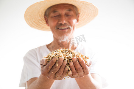 麦子背景摄影照片_捧着麦子的老农民