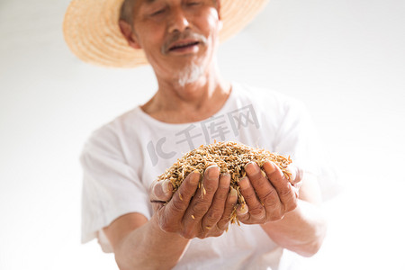 捧着麦子的老农民