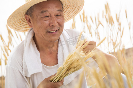 老年人摄影照片_老农民在麦田里