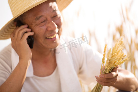 新科技智能摄影照片_老农民在农田里打电话