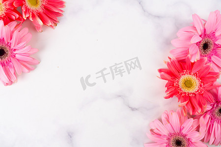 植物白天弗朗菊花室内粉红色花朵摄影图配图