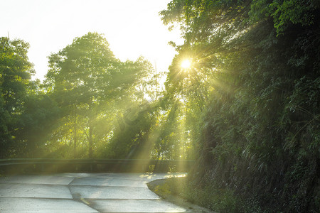 早晨的阳光摄影照片_森林公路上的丁达尔效应摄影图配图