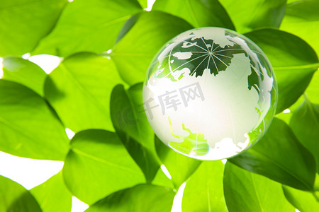 绿色的地球球摄影照片_绿叶上的水晶地球