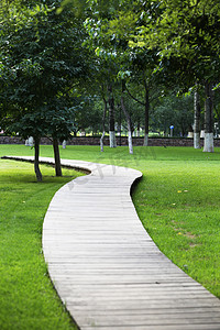 园林风景摄影照片_公园木板小路