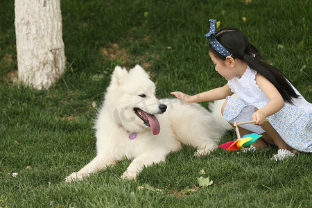 小女孩在草地上和小狗玩耍