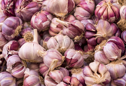 purple garlic at market