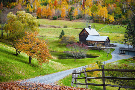 秋天新英格兰乡下，农场里的秋景