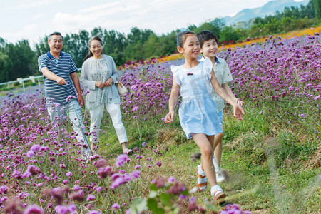 幸福老人和孩子郊游