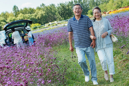 紫色浪漫的树摄影照片_走在花海里的老年夫妇
