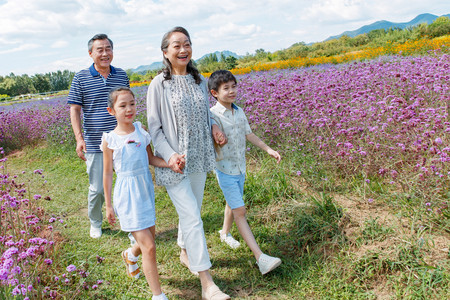 幸福老人和孩子郊游