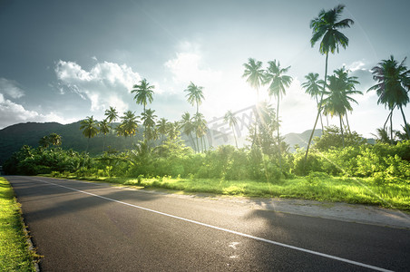 foliage摄影照片_empty road in jungle of Seychelles islands