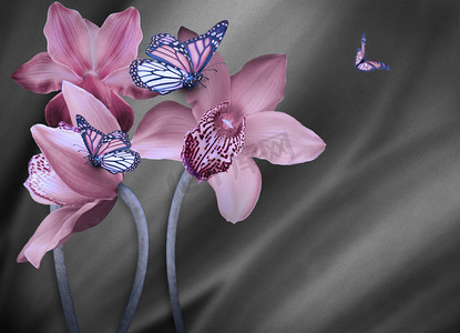 grey摄影照片_Floral background of orchids