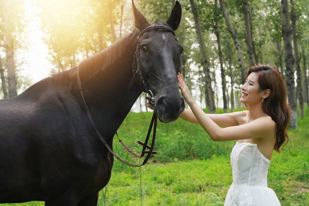 草地上漂亮的年轻女人抚摸着马