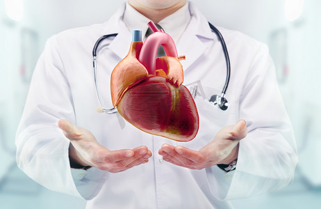 Doctor with stethoscope and heart on the  hands in a hospital