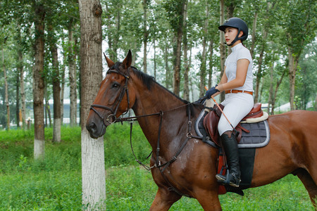 女子骑马摄影照片_林间骑马的年轻女子