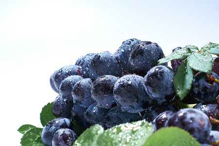水果棚拍葡萄紫色葡萄白色背景摄影图配图