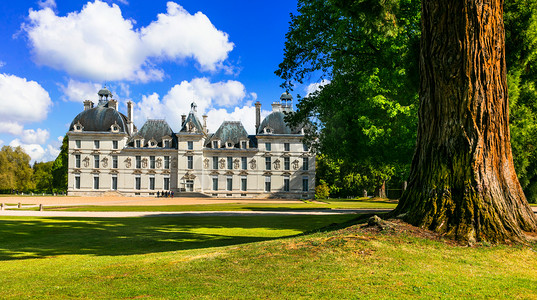优雅的舍维尼城堡，最完好在法国卢瓦尔河谷城堡.