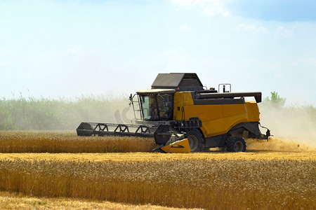 Kombain 收集关于小麦作物。农业机械领域. 