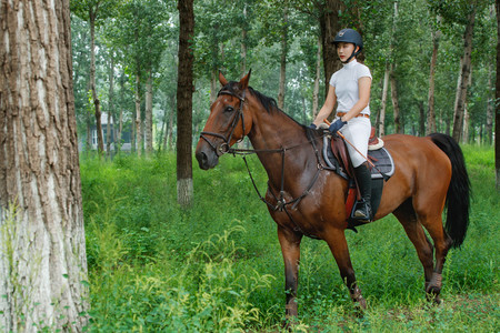 树林中骑马的漂亮年轻女孩