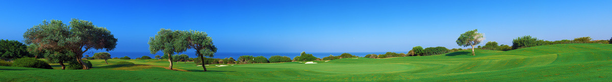 高尔夫球场、 海上和橄榄的全景