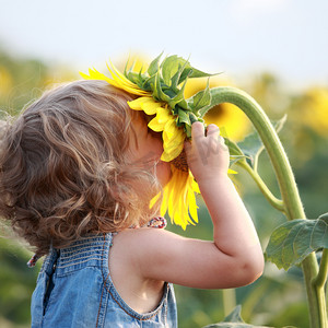 可爱的孩子与向日葵