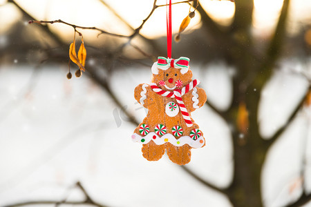 树枝状水系摄影照片_圣诞贺卡与姜饼人饼干玩具挂在树枝上