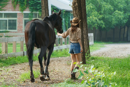 马场内青年女人牵着马的背影
