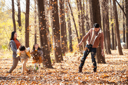 家庭露营摄影照片_幸福家庭在户外玩树叶
