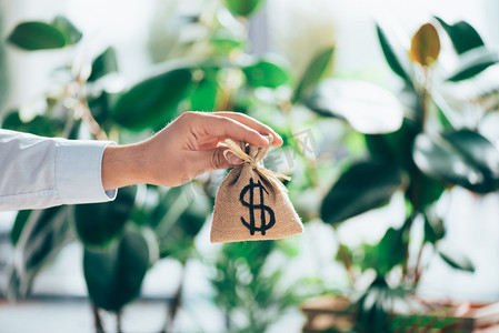 partial摄影照片_cropped shot of person holding sackcloth bag with dollar sign in hand 