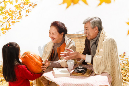 人和风景摄影照片_祖孙三人和南瓜