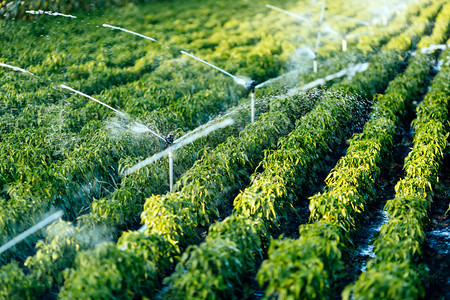 灌溉系统的功能