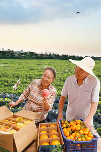 食品销售摄影照片_农民在线直播销售农产品