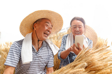 金色直播摄影照片_农民夫妇在麦田里用手机视频