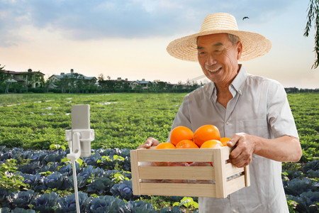 淘宝促销边框摄影照片_农民在线直播销售水果