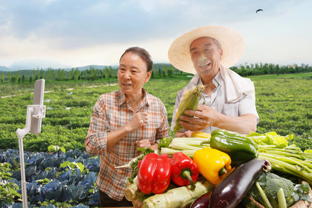 在线交流摄影照片_农民在线直播销售农产品