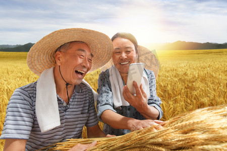 麦田天空摄影照片_农民夫妇坐在麦田里用手机视频