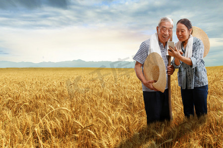 金色直播摄影照片_农民夫妇站在麦田里用手机视频