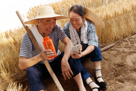 金色直播摄影照片_农民夫妇坐在麦田里用手机视频