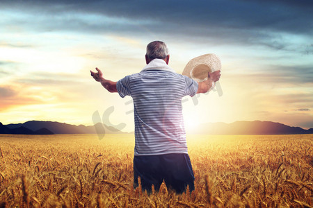 农民背影摄影照片_站在麦田里的农民