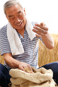 农民用手捧着麦粒