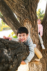 趴在树上的快乐儿童
