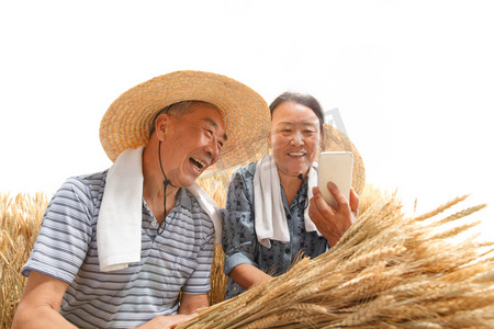 农村直播摄影照片_农民夫妇在麦田里用手机视频
